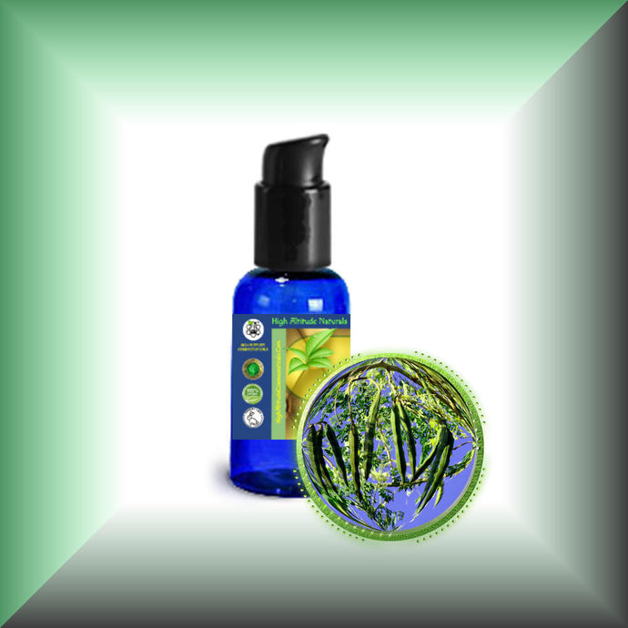 Moringa Ben Oil for Face, Skin, Hair & Massage in a 1 fl oz bottle with pump dispenser.