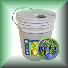 Moringa Ben Oil for Face, Skin, Hair & Massage, in a 5-gallon pail, bulk,wholesale size.