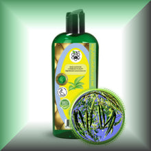 Moringa Ben Oil for Face, Skin, Hair & Massage, in a 8 fl oz bottle with dispenser cap.