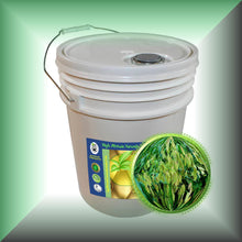 Oat Oil for Face, Dry Skin, Hair & Scalp - Virgin, 5-gallons pail, bulk, wholesale size.