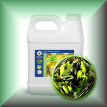 Olive Squalane Oil for Face, Skin & Hair in 32 fl oz jug.
