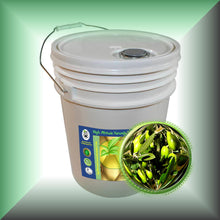 Olive Squalane Oil for Face, Skin & Hair in a 5-gallons pail, bulk, wholesale size.