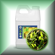 Olive Squalane Oil for Face, Skin & Hair in a 64 fl oz jug.