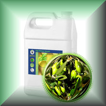 Olive Squalane Oil for Face, Skin & Hair in a Gallon jug, bulk, wholesale size.