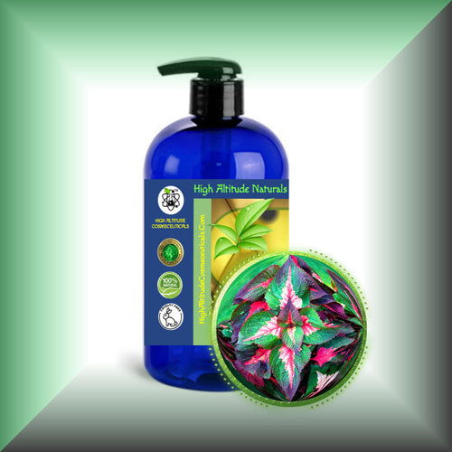 Perilla Seed Oil for Face, Skin & Hair in a 16 fl oz bottle with pump dispenser.