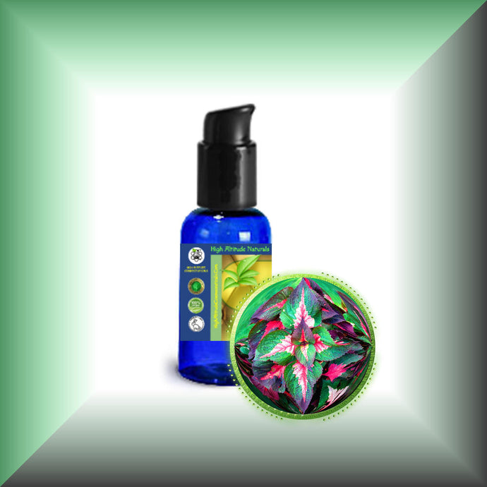 Perilla Seed Oil for Face, Skin & Hair in a 1 fl oz bottle with pump dispenser. 