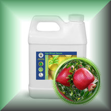 Pomegranate Seed Oil for Face, Skin & Hair in a 32 fl oz jug.