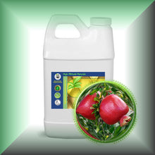 Pomegranate Seed Oil for Face, Skin & Hair in a 64 fl oz jug, bulk size