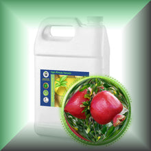 Pomegranate Seed Oil for Face, Skin & Hair in a Gallon jug, bulk, wholesale size.