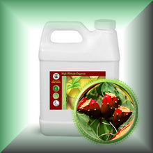 Prickly Pear Seed Oil for Face, Skin & Hair - Virgin in a 32 fl oz jug.