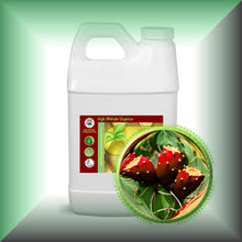 Prickly Pear Seed Oil for Face, Skin & Hair - Virgin in a 64 fl oz jug.
