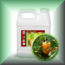 Pumpkin Seed Oil for Face, Skin, Hair & Scalp - Virgin in a 32 fl oz jug.