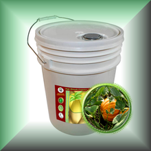 Pumpkin Seed Oil for Face, Skin, Hair & Scalp - Virgin in a 5-gallons pail, bulk, wholesale size.