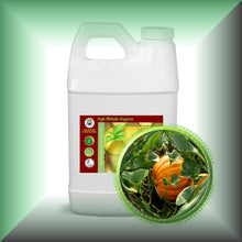 Pumpkin Seed Oil for Face, Skin, Hair & Scalp - Virgin, in a 64 fl oz jug.