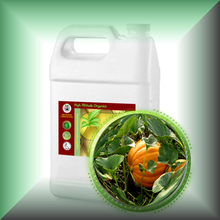 Pumpkin Seed Oil for Face, Skin, Hair & Scalp - Virgin in a Gallon jug, bulk, wholesale size.