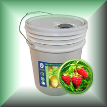 Red Raspberry Seed Oil for Face, Skin & Hair - Virgin in a 5-gallon pail, bulk, wholesale size.