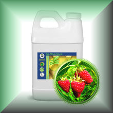 Red Raspberry Seed Oil for Face, Skin & Hair - Virgin in a 64 fl oz jug. 