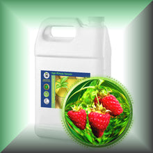 Red Raspberry Seed Oil for Face, Skin & Hair - Virgin in a Gallon jug, bulk, wholesale size.