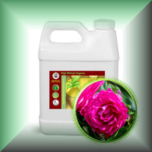 Rose Herbal Oil Extract for Face, Skin, Hair & Massage in a 32 fl oz jug.