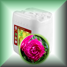 Rose Herbal Oil Extract for Face, Skin, Hair & Massage in a 5-gallon jerrycan, bulk, wholesale size.