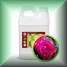 Rose Herbal Oil Extract for Face, Skin, Hair & Massage in a 64 fl oz jug, bulk size.