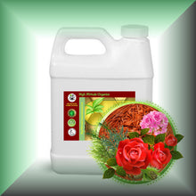 Rose Sandalwood Body Massage Oil for Aromatherapy & Relaxation in a 32 fl oz jug.