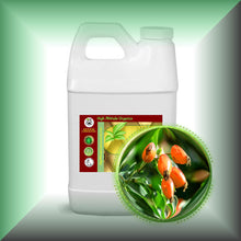 Rosehip Seed Oil for Face, Skin, Scars & Hair - Virgin in  64 fl oz jug.