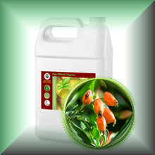 Rosehip Seed Oil for Face, Skin, Scars & Hair - Virgin in a Gallon jug, bulk-wholesae size.