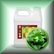 Sacha Inchi Oil for Face, Skin, Hair & Scalp - Virgin in a 32 oz jug.