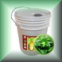 Sacha Inchi Oil for Face, Skin, Hair & Scalp - Virgin in a 5-gallon pail, bulk, wholesale size.