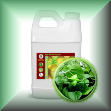 Sacha Inchi Oil for Face, Skin, Hair & Scalp - Virgin in a 64 fl oz jug.