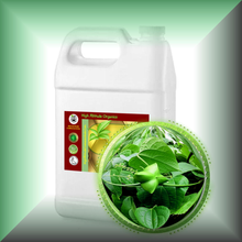 Sacha Inchi Oil for Face, Skin, Hair & Scalp - Virgin in a Gallon jug, bulk, wholesale size.