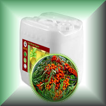 Sea Buckthorn Berry Oil for Face, Skin & Hair - Virgin, in a 5-gallon jerrycan, bulk, wholesale size.