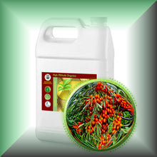 Sea Buckthorn Berry Oil for Face, Skin & Hair - Virgin, in a gallon jug, bulk, wholesale size.