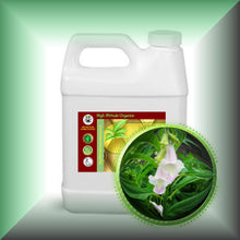 Sesame Seed Oil for Skin, Hair, Scalp & Massage - Virgin, in a 32 fl oz jug.