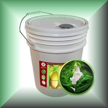 Sesame Seed Oil for Skin, Hair, Scalp & Massage - Virgin, in a 5-gallon bucket.
