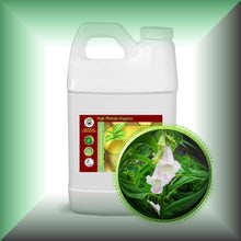 Sesame Seed Oil for Skin, Hair, Scalp & Massage - Virgin, in a 64 fl oz jug.