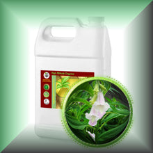Sesame Seed Oil for Skin, Hair, Scalp & Massage - Virgin, in a gallon jug, bulk, wholesale size.