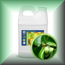 Tamanu (Foraha) Oil for Skin & Hair - Pourable, in a 64 fl oz jug.