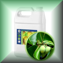 Tamanu (Foraha) Oil for Skin & Hair - Pourable, in a gallon jug, bulk, wholesale size.