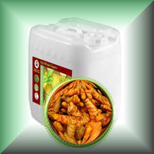 Turmeric Root Oil Extract for Face, Skin, Hair & Massage in a 5-gallons jerrycan, bulk,wholesale size.