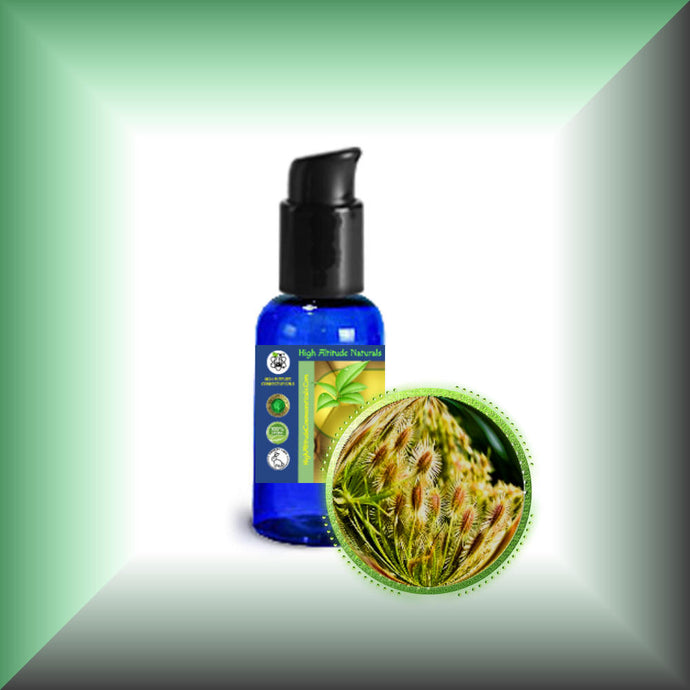 Carrot Seed Carrier Oil for Face, Skin, Hair & Massage - Virgin in a 1 fl oz bottle with pump.