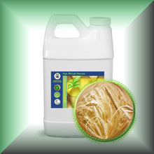 Wheat Germ Oil for Dry Mature Skin, Fine Lines & Hair - Virgin, in a 64 fl oz jug, bulk.